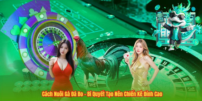 Cách Nuôi Gà Đá Bo – Bí Quyết Tạo Nên Chiến Kê Đỉnh Cao 3 Cách Nuôi Gà Đá Bo – Bí Quyết Tạo Nên Chiến Kê Đỉnh Cao